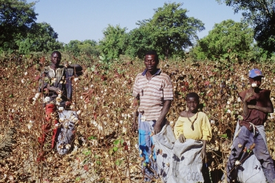 Baumwollproduzenten in Mali (2002)